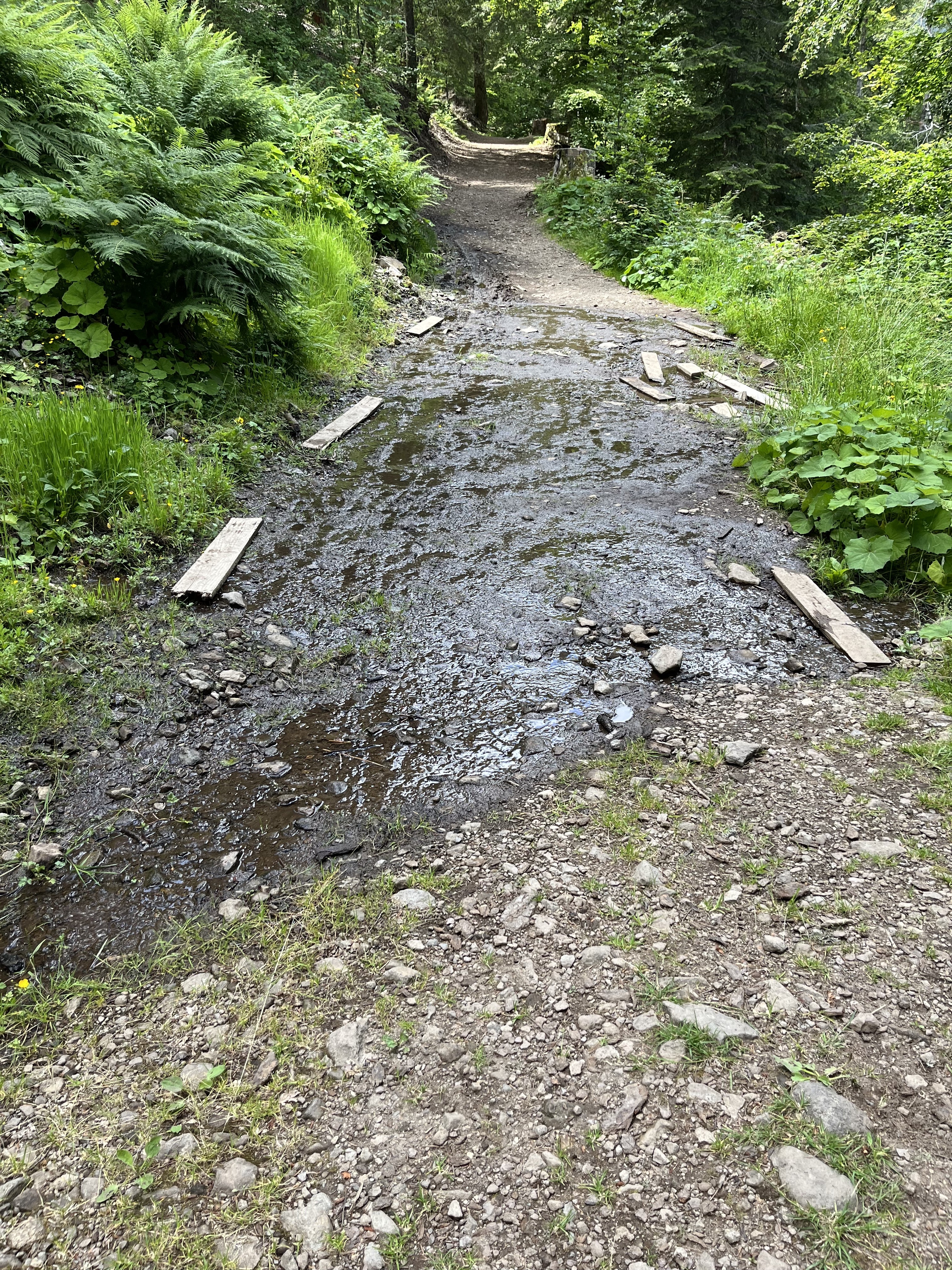 11 avant dernier ruisseau a drainer