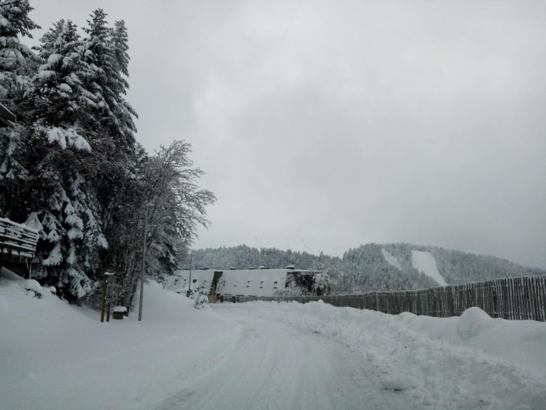 879 en haut route du rocher pres du liorana