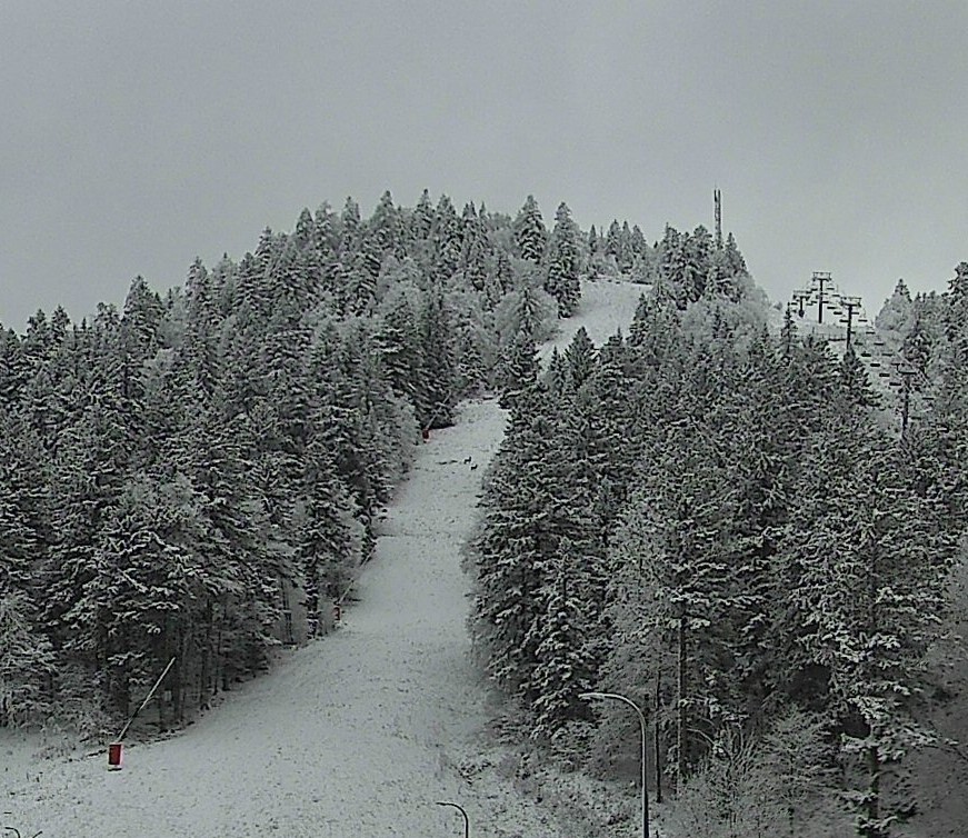  cerfs sur la piste noire le 4 décembre à 8 h