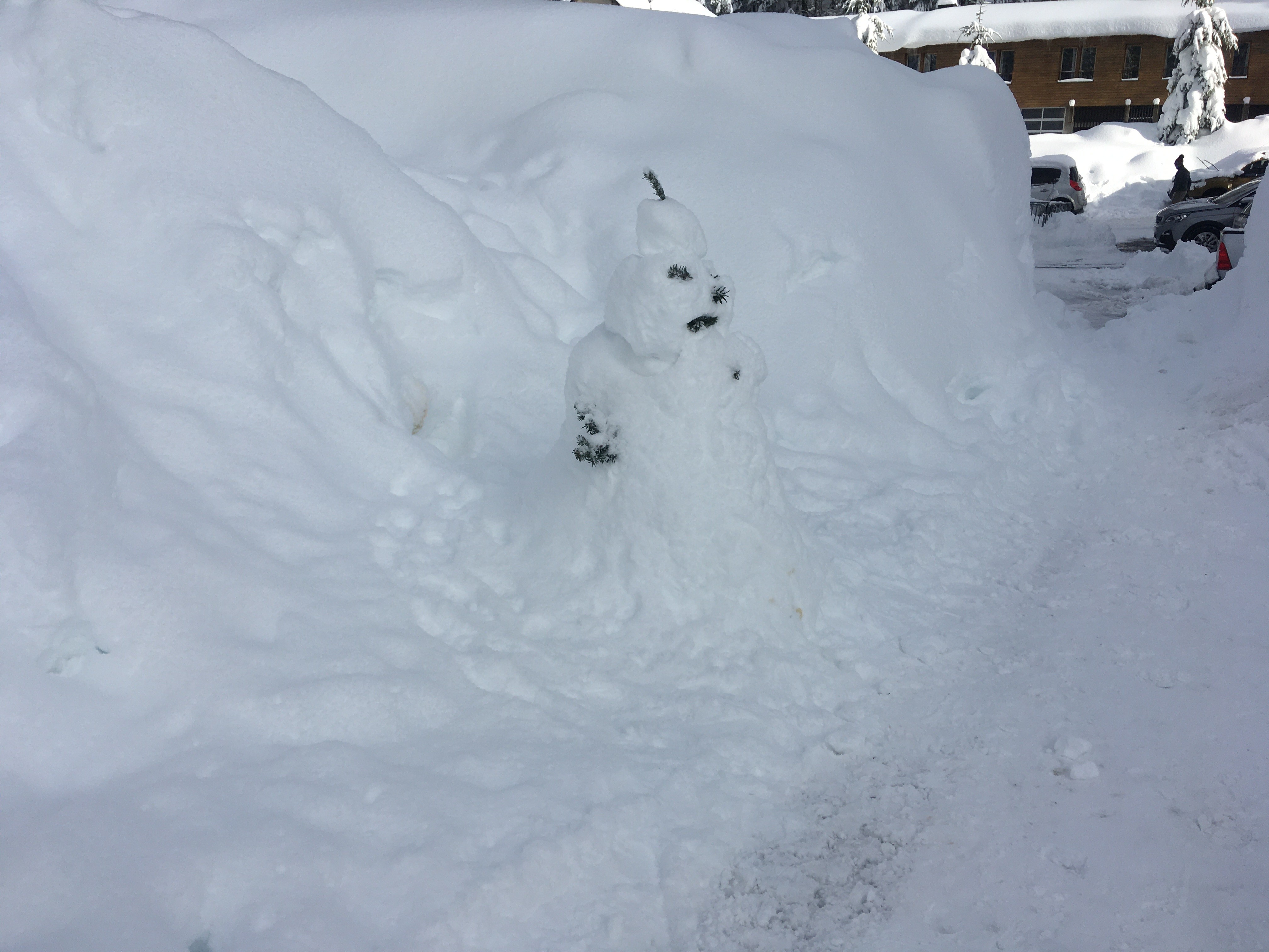 1313 le bonhomme de neige du 1er janvier