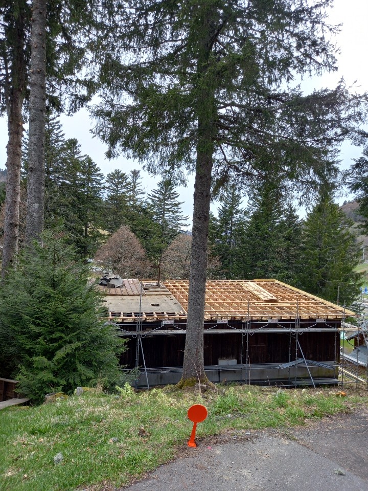 Rénovation d'un tres vieux chalet route ru rocher 25/4