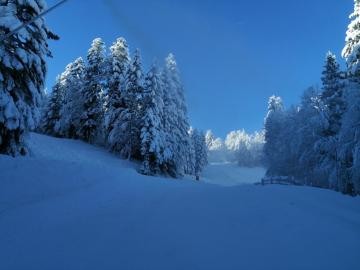 6 décembre